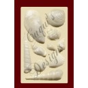 SHELLS No. 2