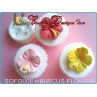 HIBISCUS FLOWER