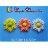 DAISY