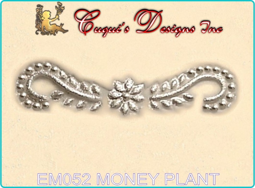 MONEY PLANT