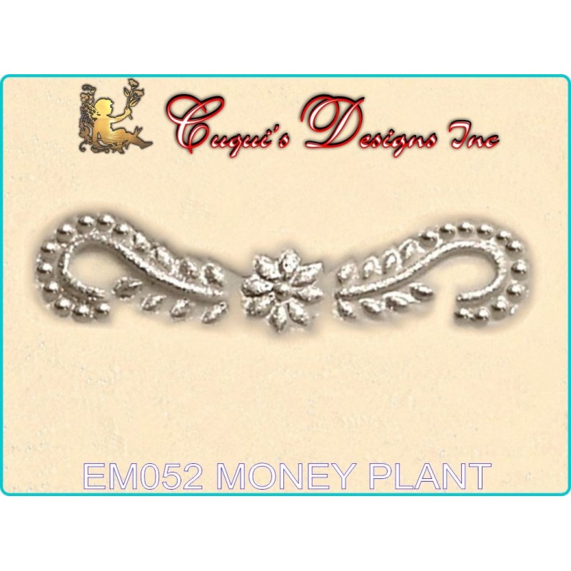 MONEY PLANT