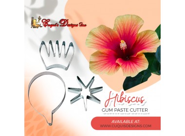 HIBISCUS No 2  with calyx