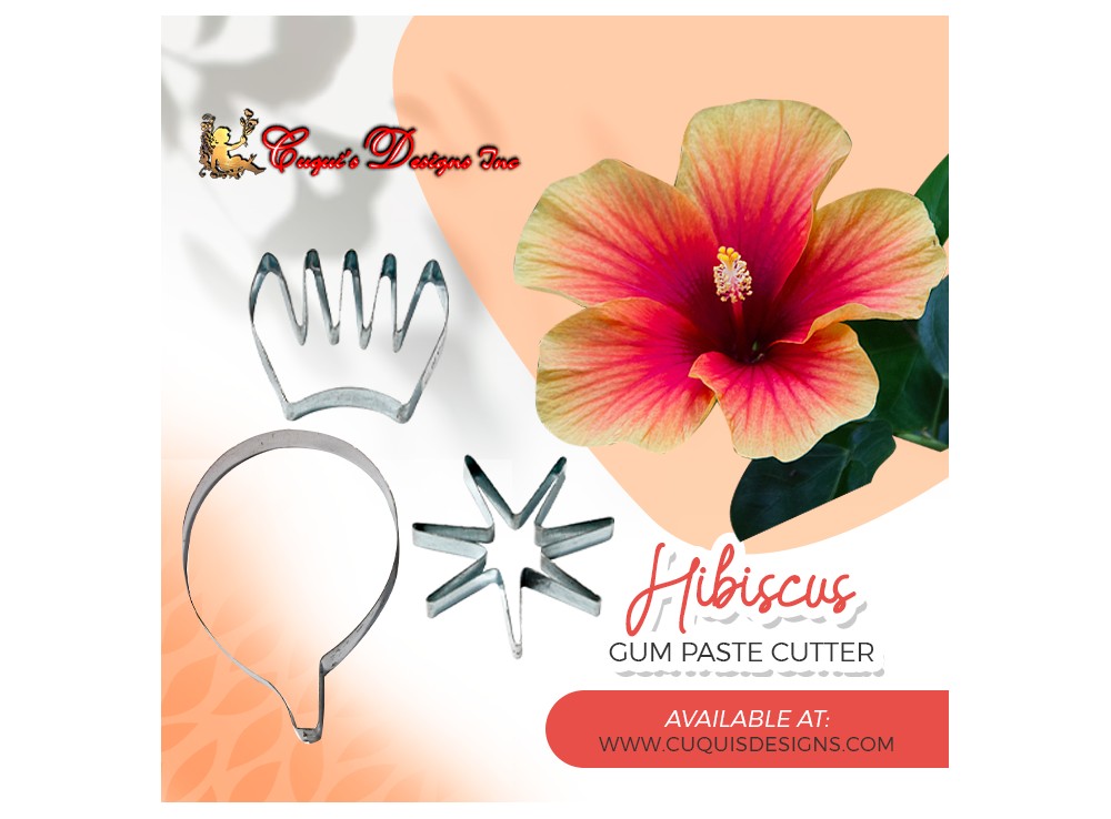 HIBISCUS No 2  with calyx