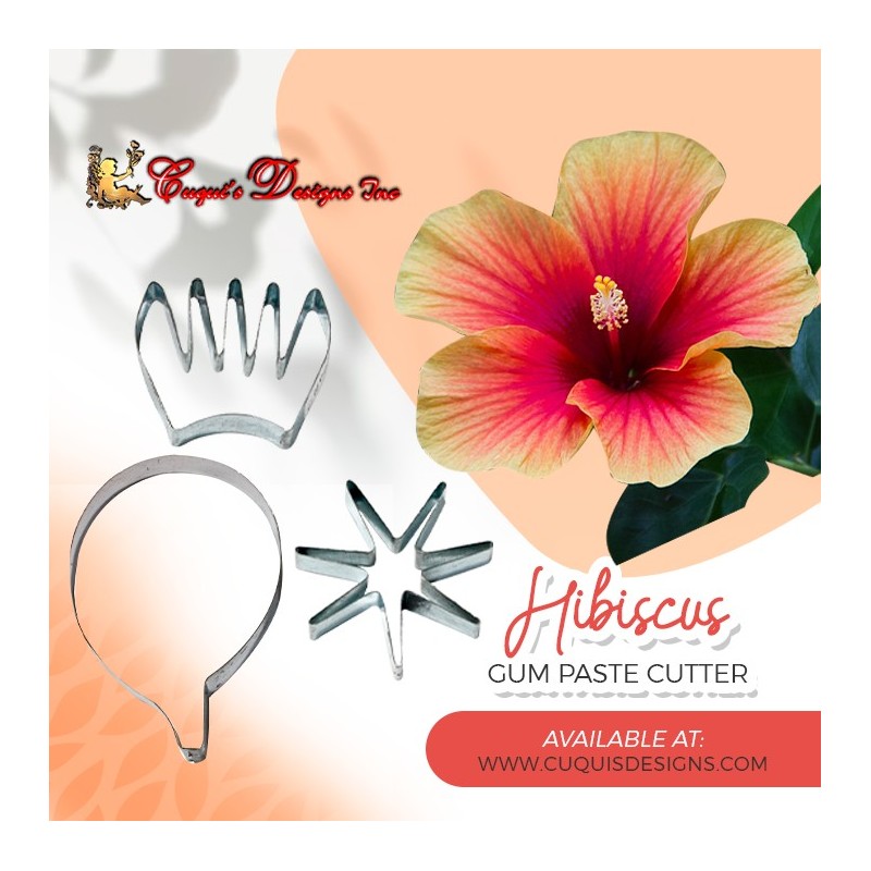 HIBISCUS No 2  with calyx