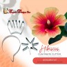 HIBISCUS No 2  with calyx
