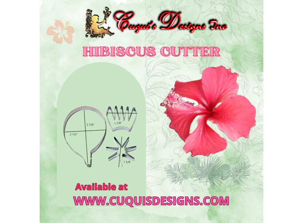 HIBISCUS No 2  with calyx