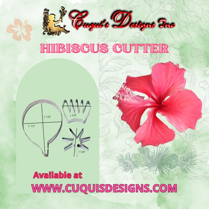 HIBISCUS No 2  with calyx