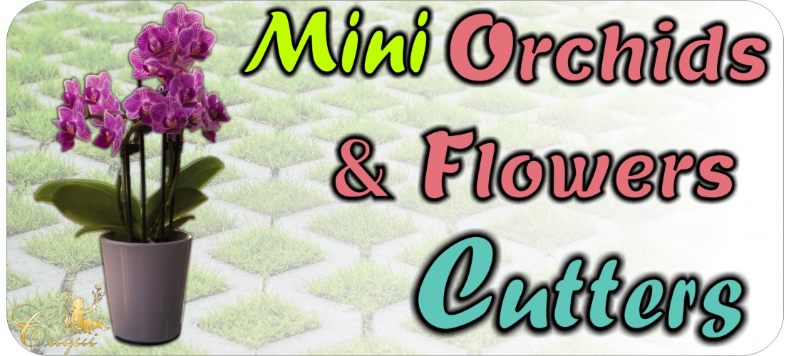 MINI ORCHIDS AND FLOWERS
